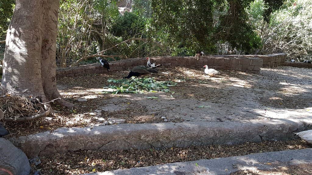 Hidden Natural Beauty