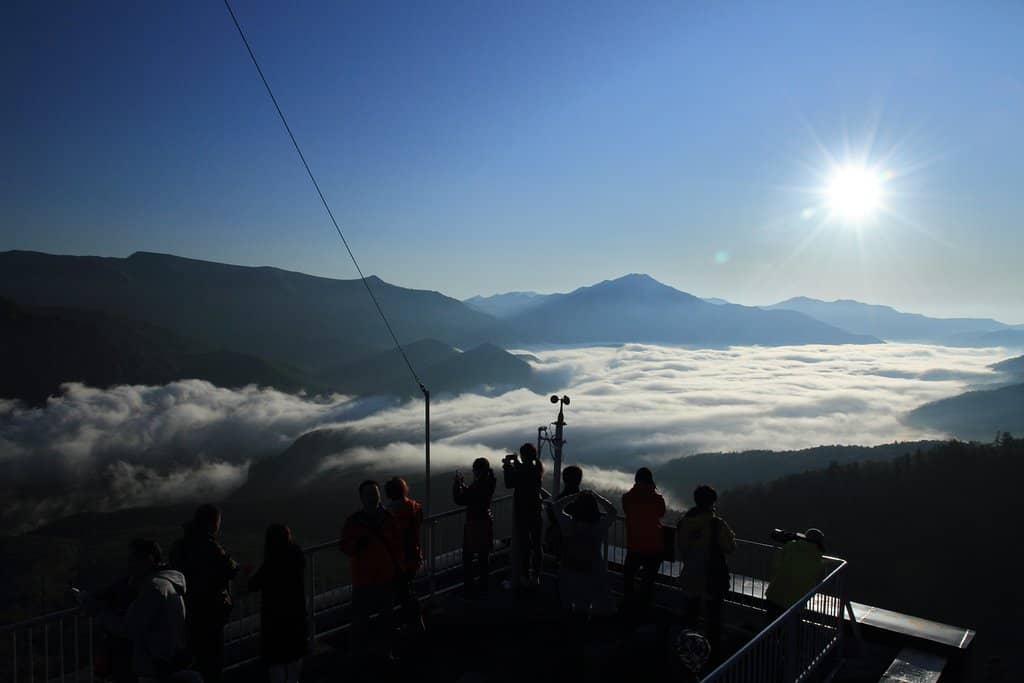 Autumn Foliage Spectacle
