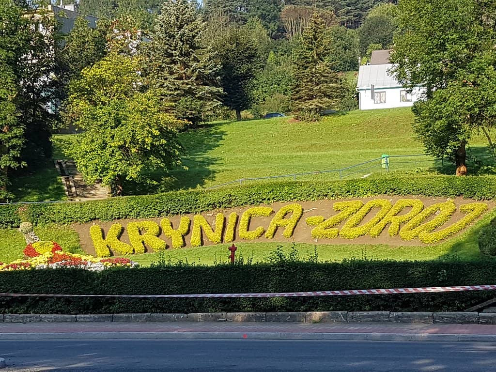 Local Cafes and Restaurants