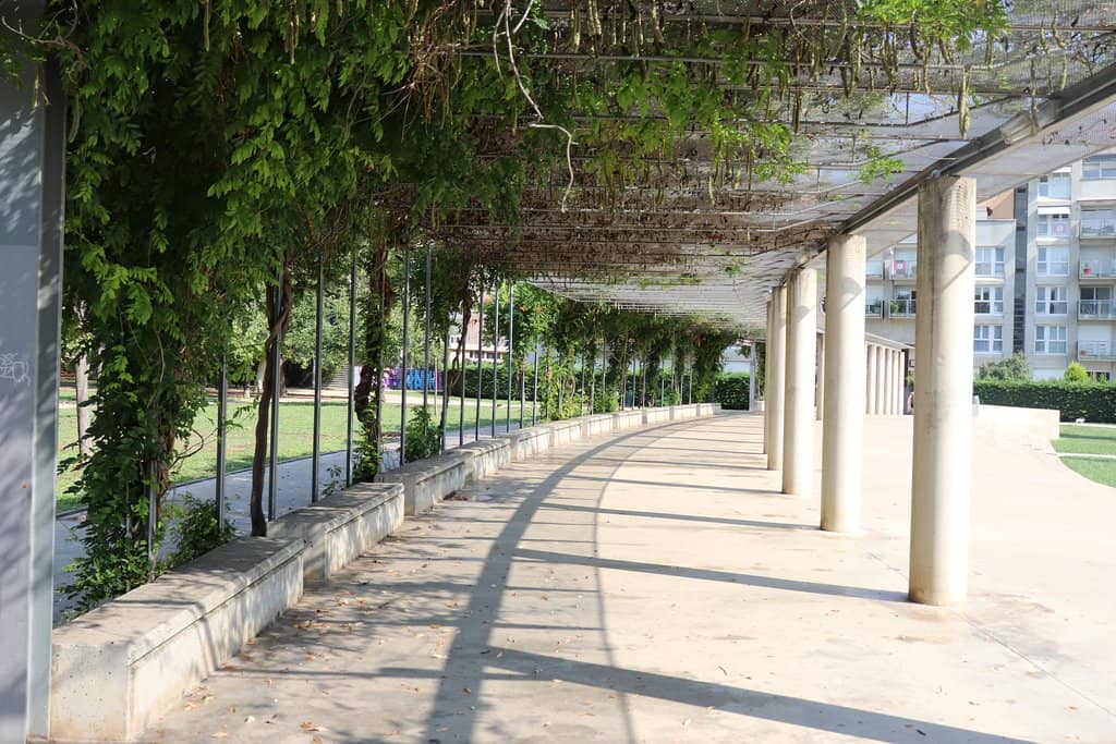 The Picturesque Lake