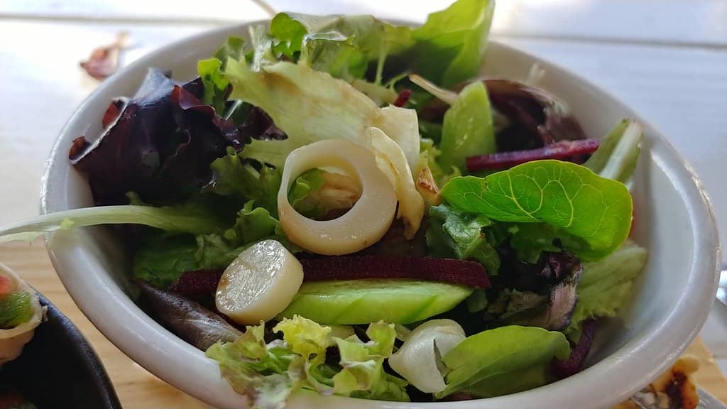 Cozy Atmosphere with Outdoor Seating