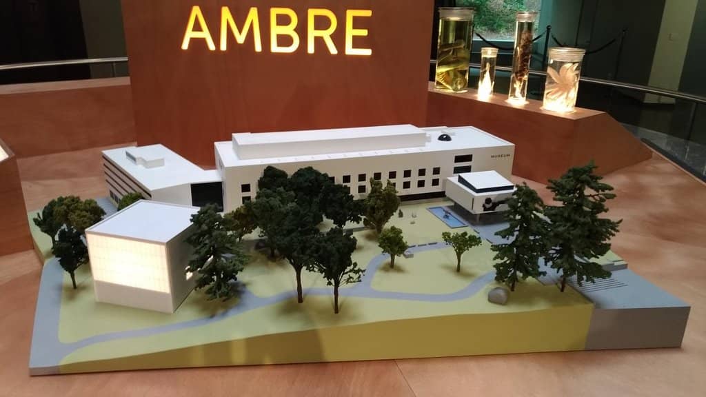 Biodiversity Exhibits