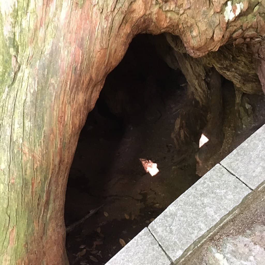 Toganoki-jaya Teahouse