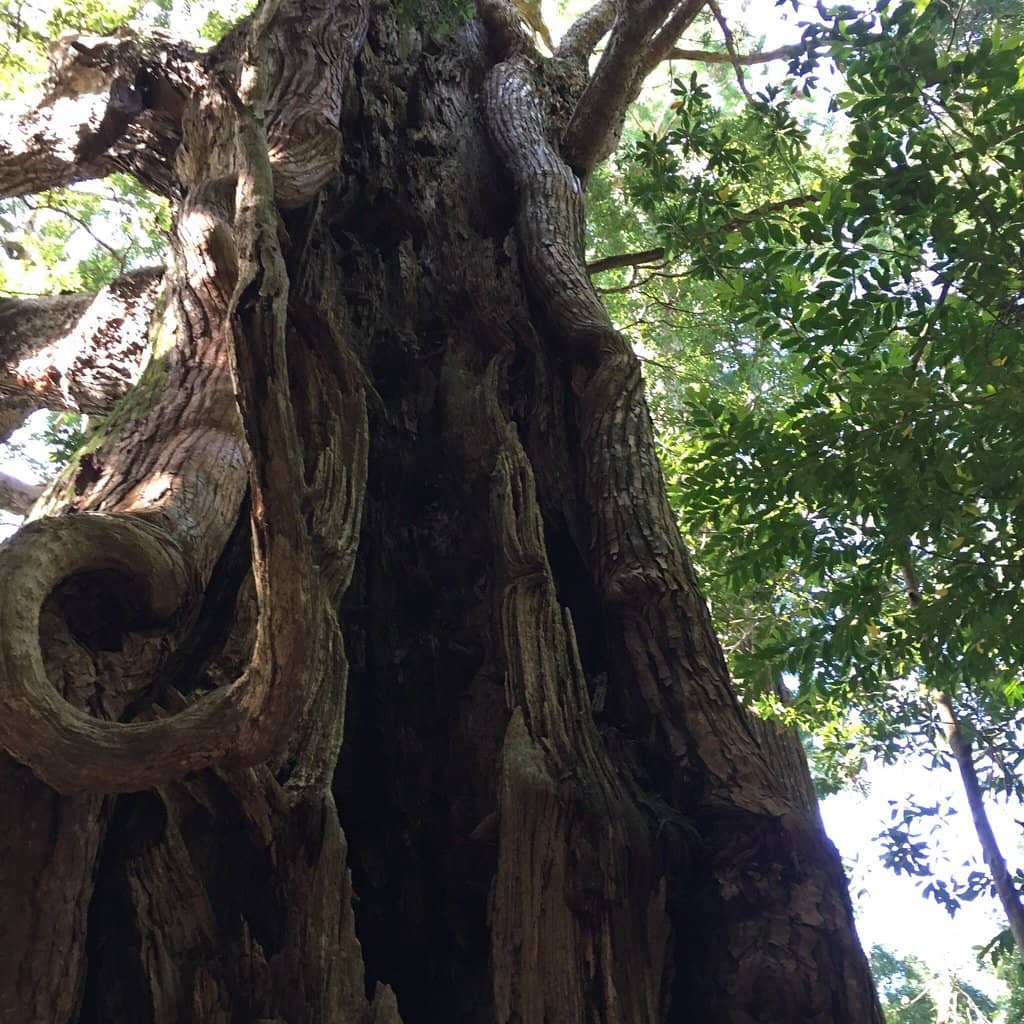 Steep Staircase Ascent