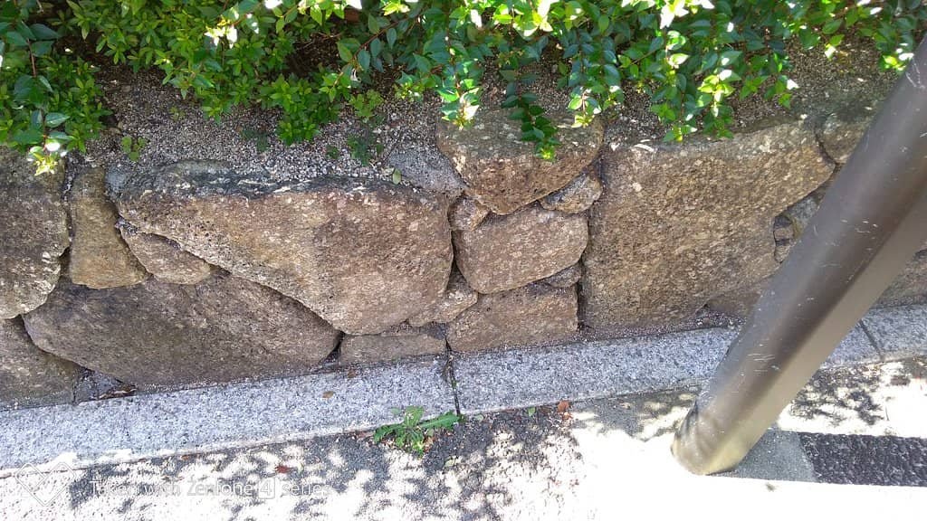 Usa Hachiman Shrine