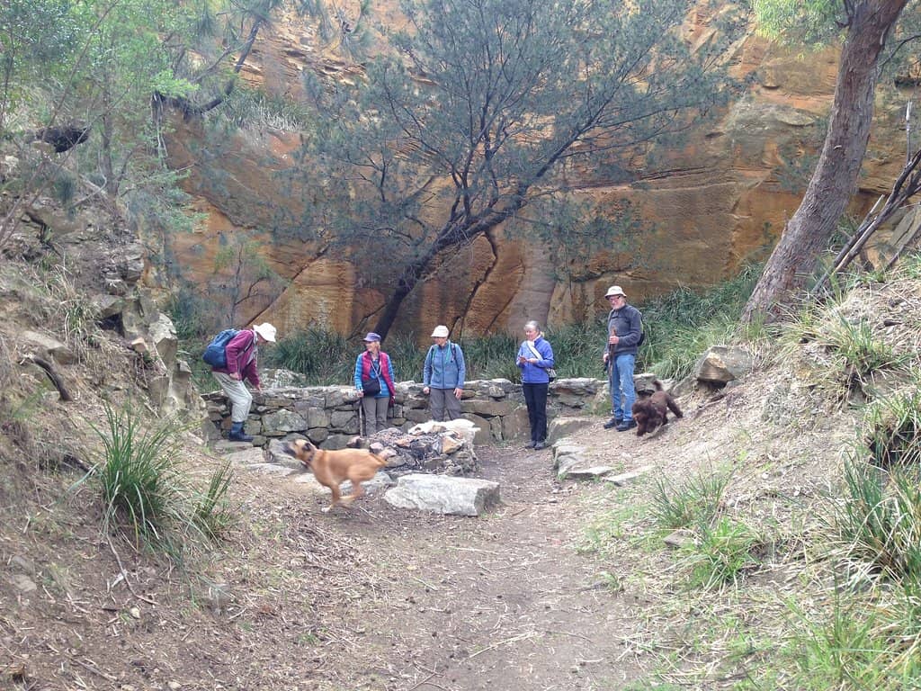 Abundant Wildlife Sightings