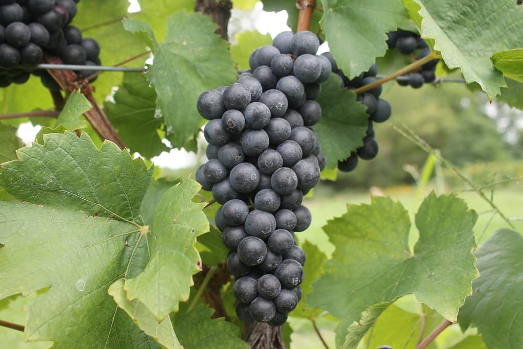 Friendly & Knowledgeable Staff