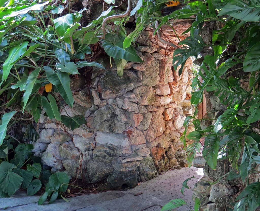 Vibrant Flower Displays