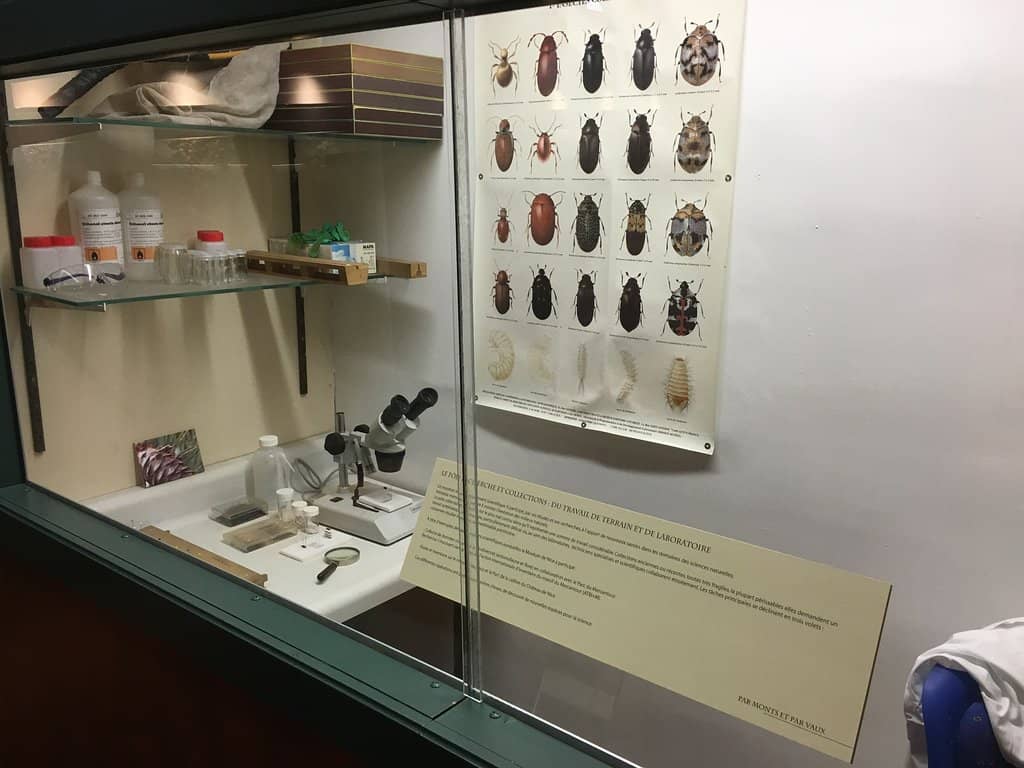 African Cultural Artifacts