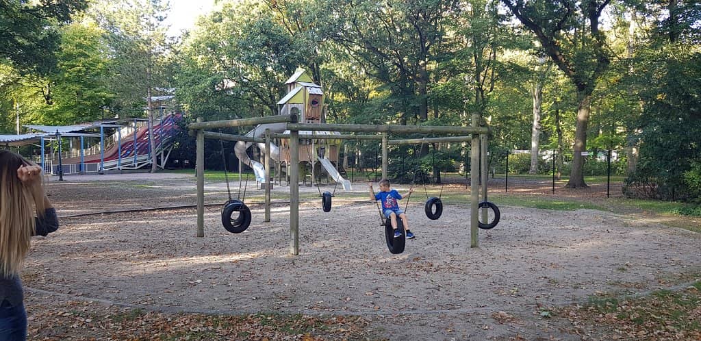 The Falcon Roller Coaster