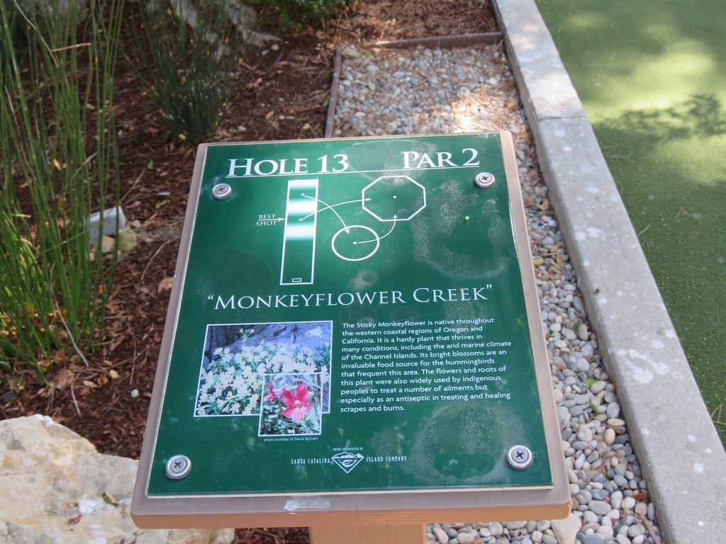 Lush Landscaping & Shade