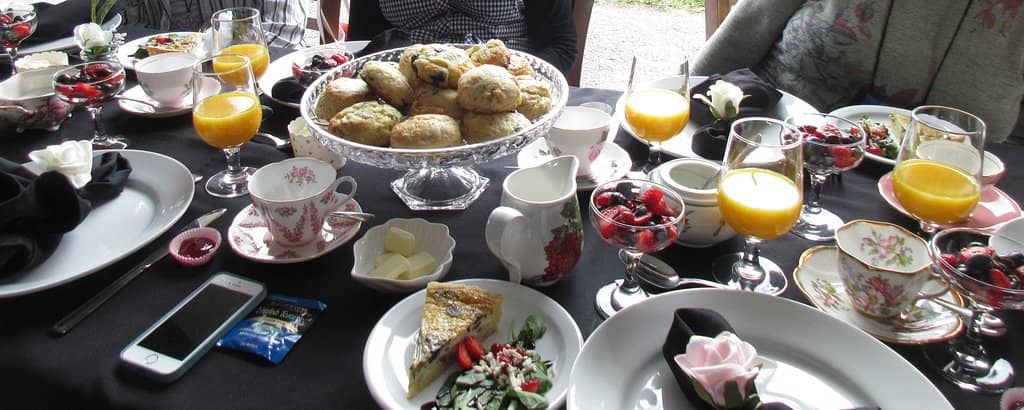 Olmsted-Designed Gardens