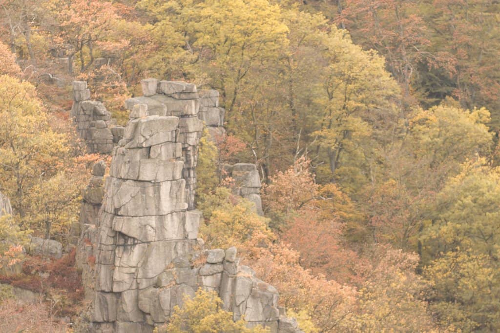 Harzdrenalin Megazipline