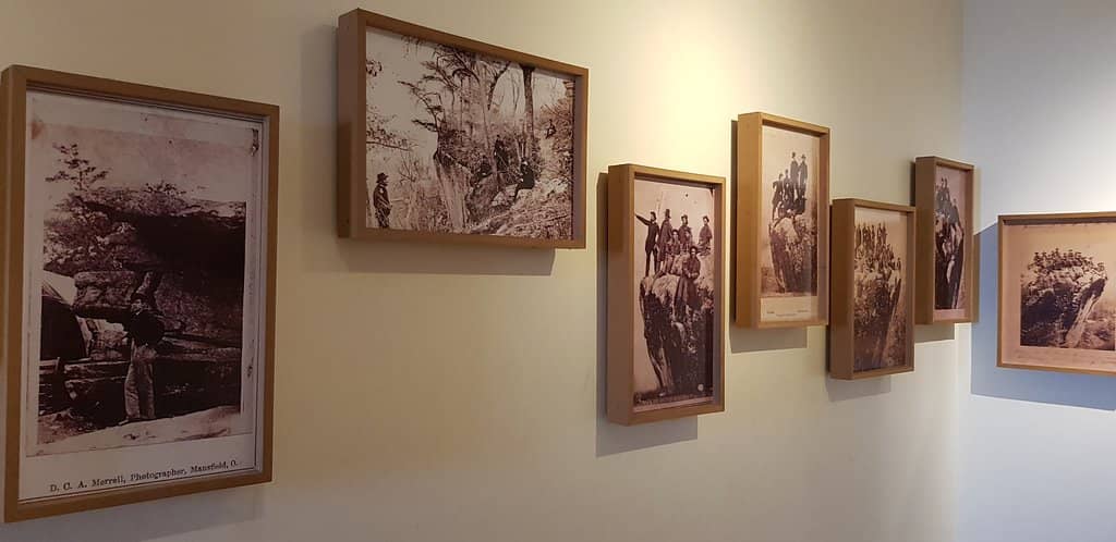 Marine Life Rock Pools