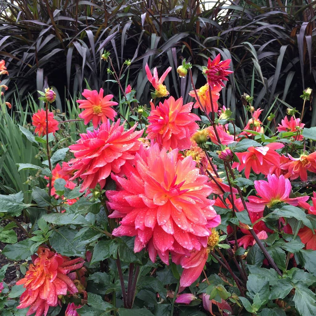 Italian Renaissance Villa