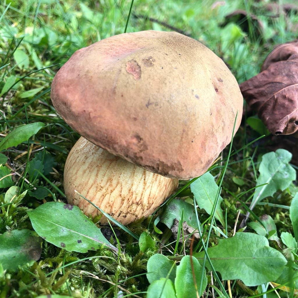 Outdoor Exercise Park