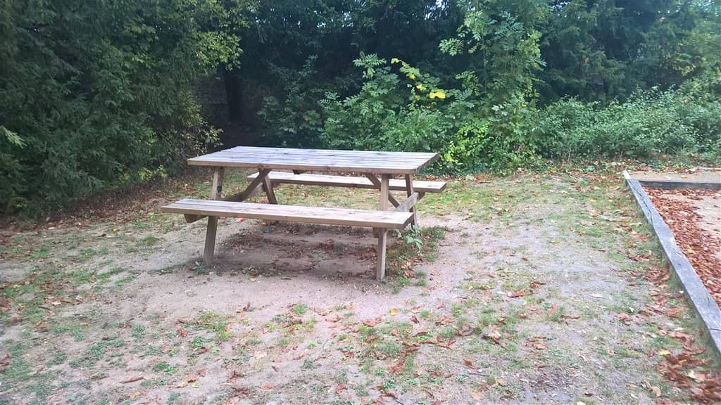 Dog-Friendly Hillside