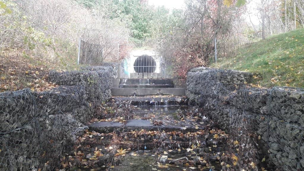 Outdoor Pool & Arena