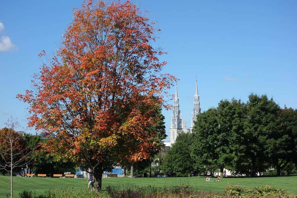 Casino Lac Leamy Fireworks