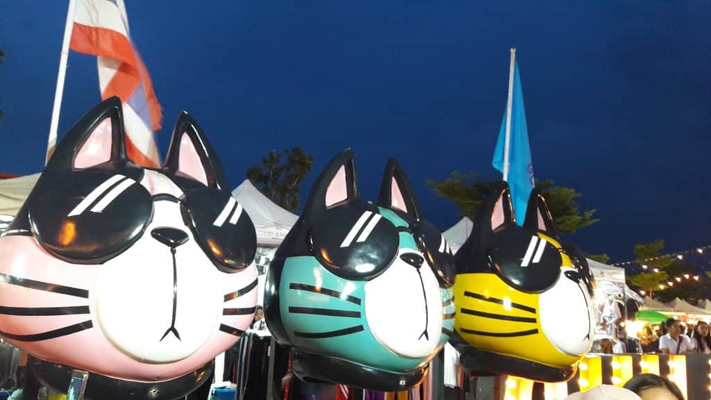 Live Music & Performances