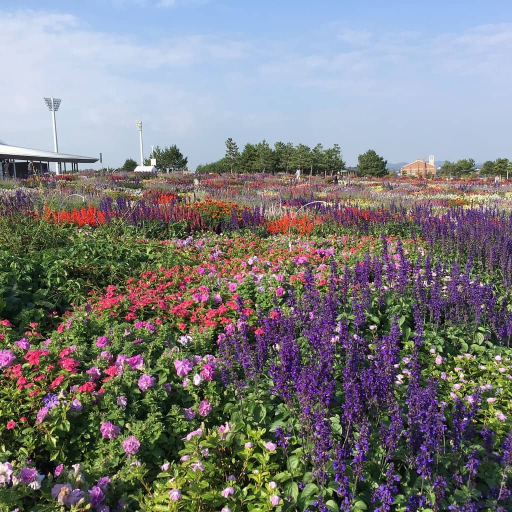 Seasonal Flower Shows