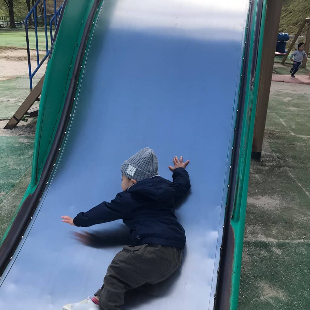 Panoramic Observation Points