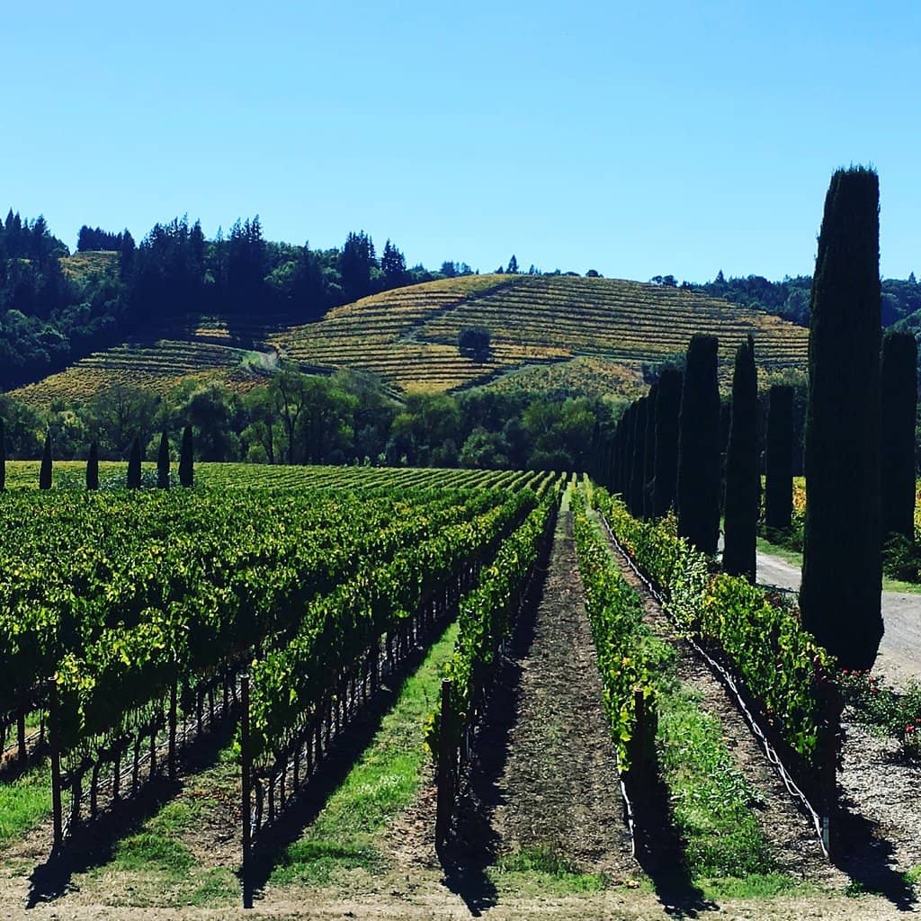 Elegant Tasting Experiences