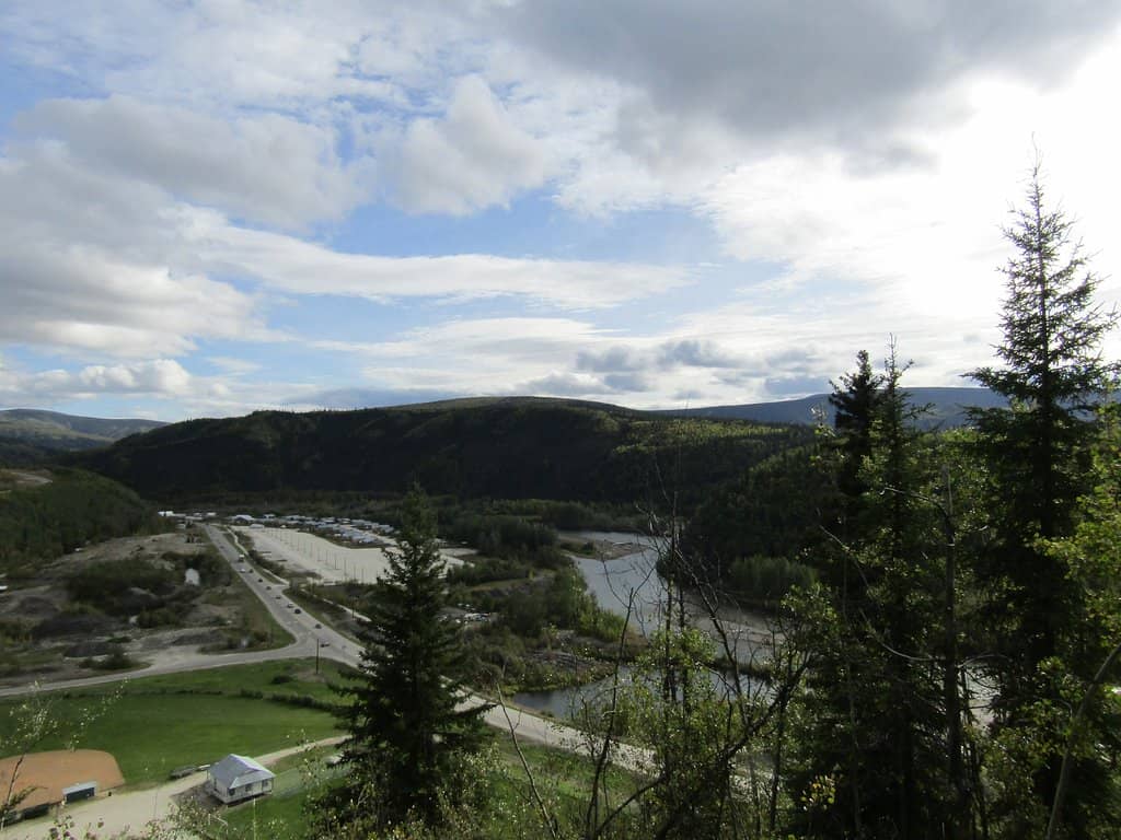 Diverse Flora & Fauna