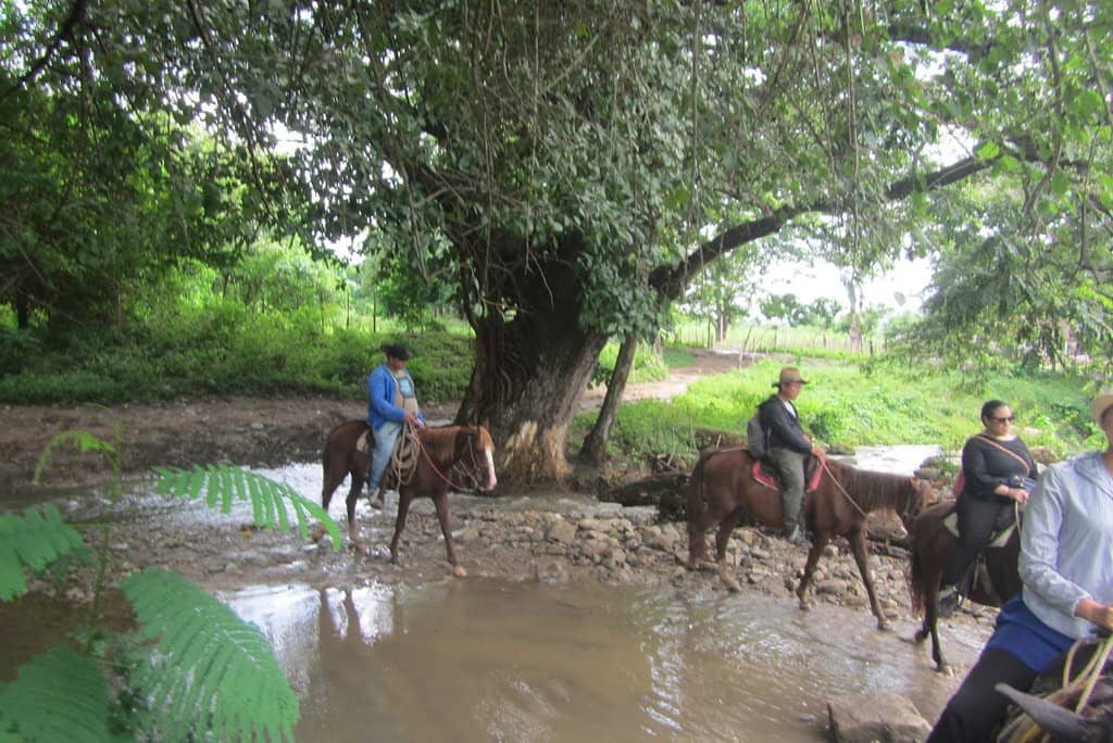 Scenic Lookout Points