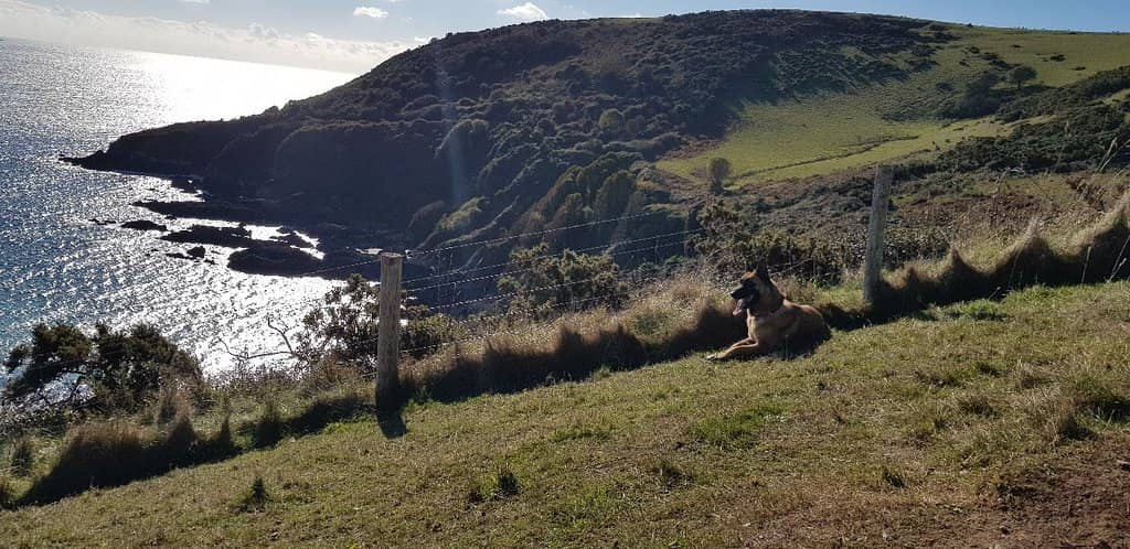 Narrow Village Streets