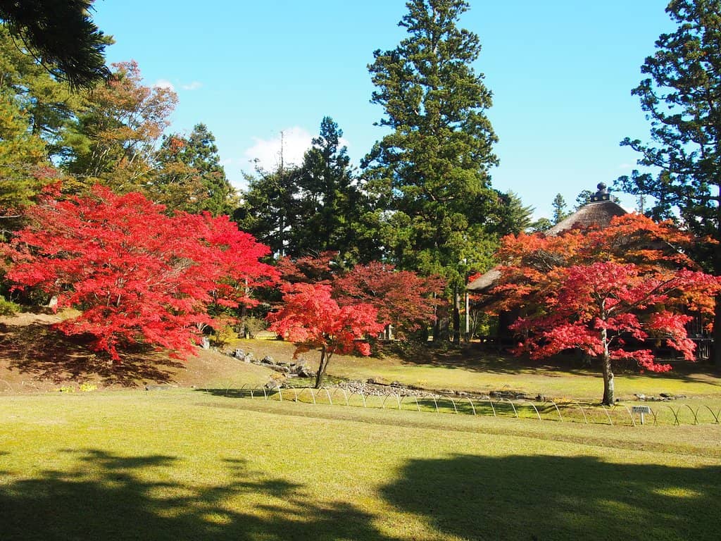 Dejima's Mystical Standing Stones