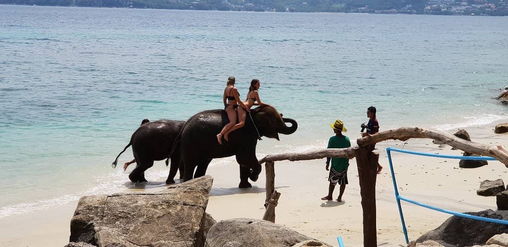 Rustic Beachfront Dining