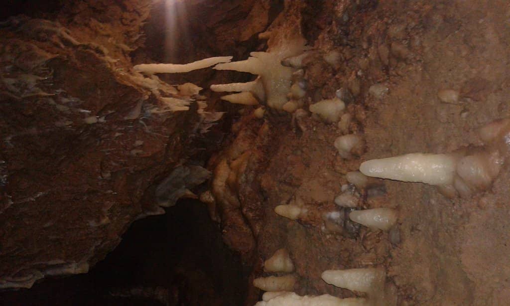 Majestic Main Chamber