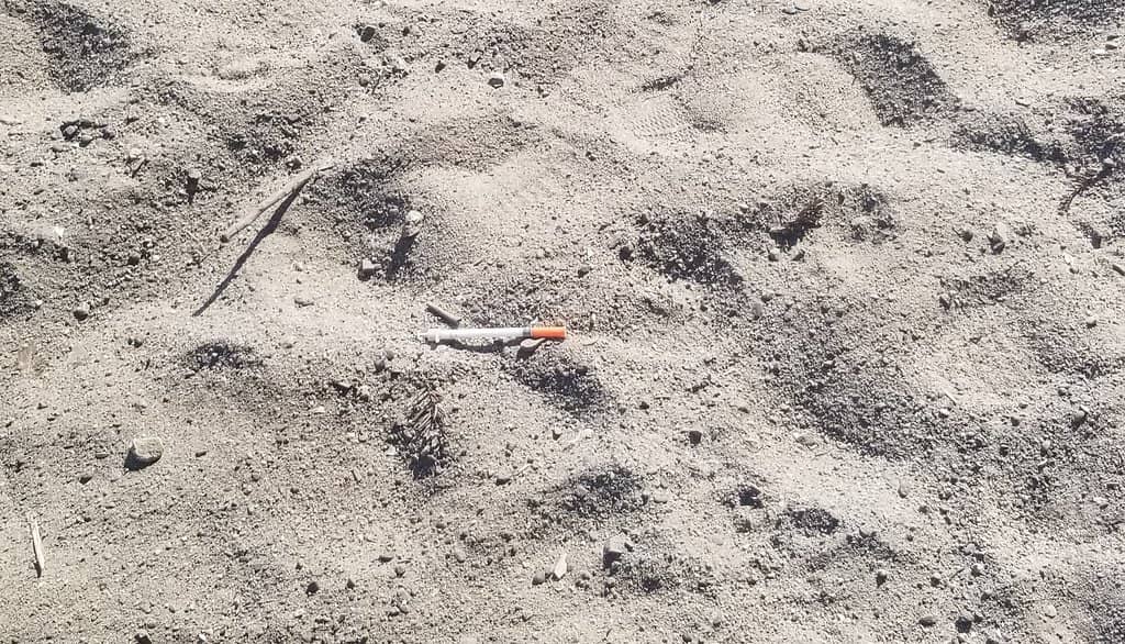 Lake Merritt Water Shows