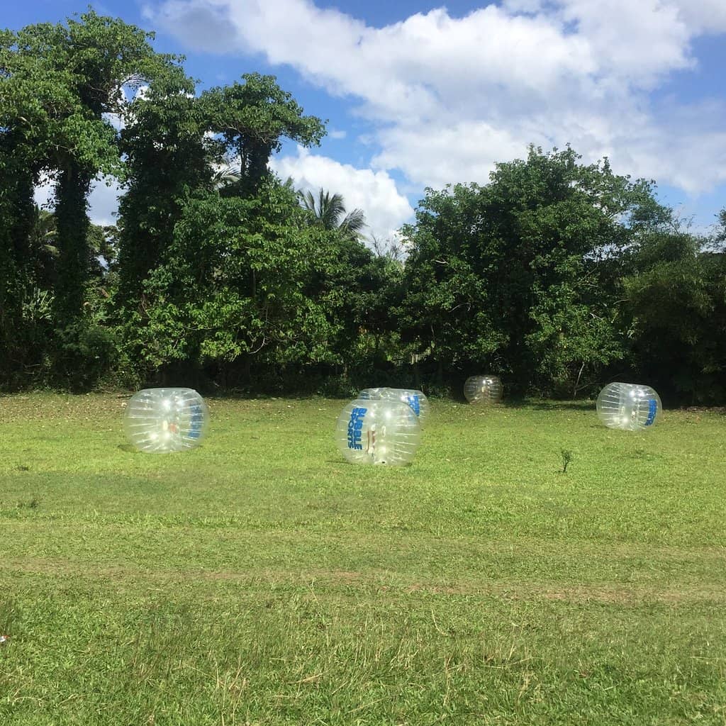 Vibrant Flower Gardens