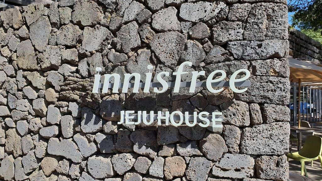 Cafe with Tea Farm Views