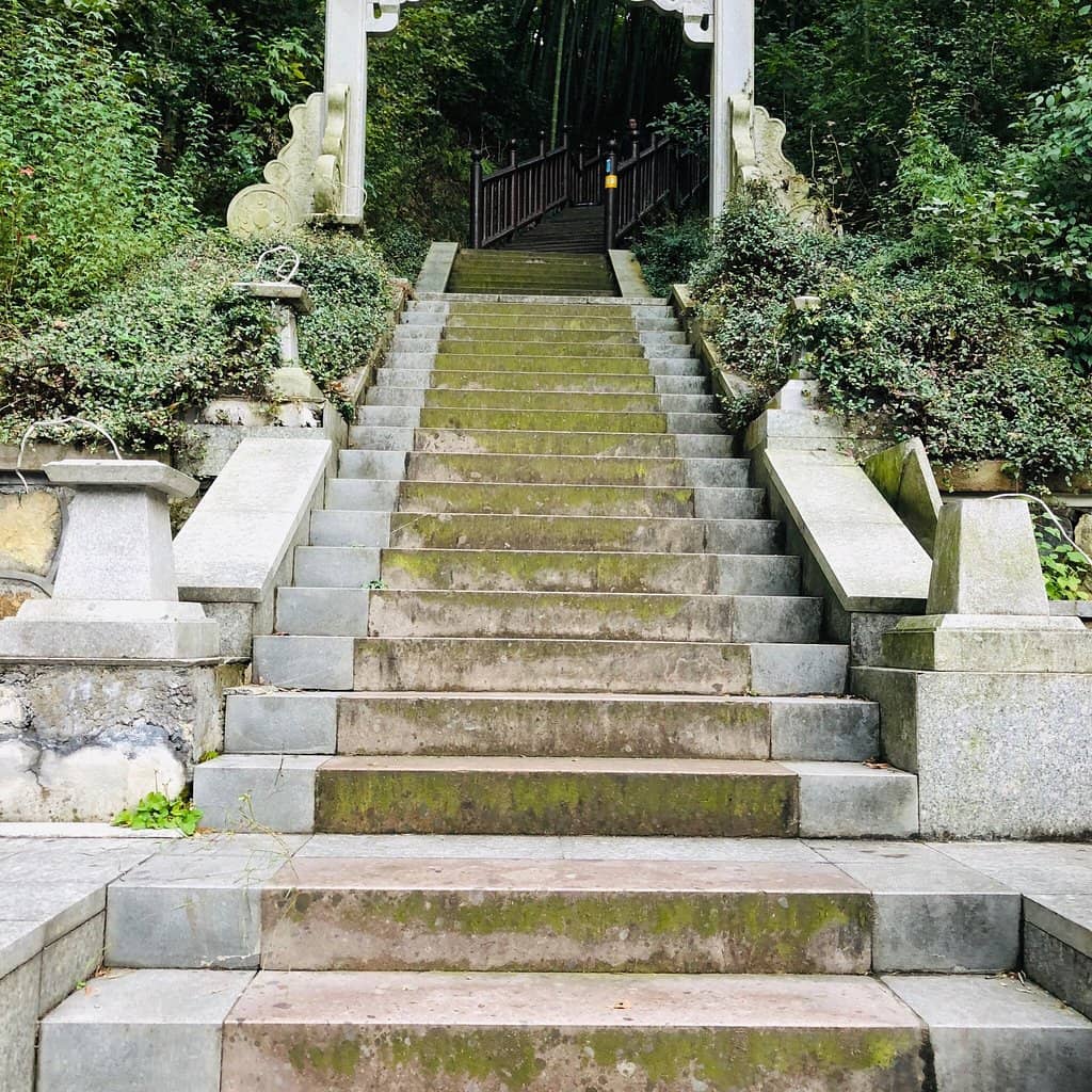 Surrounding Forest Trails