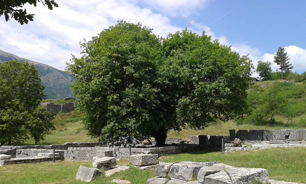 Temple of Zeus Naios