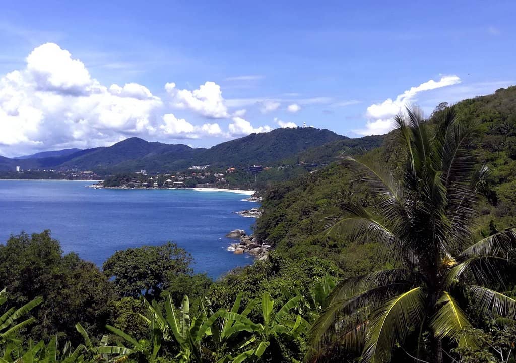 Fresh Seafood and Wood-Fired Pizza