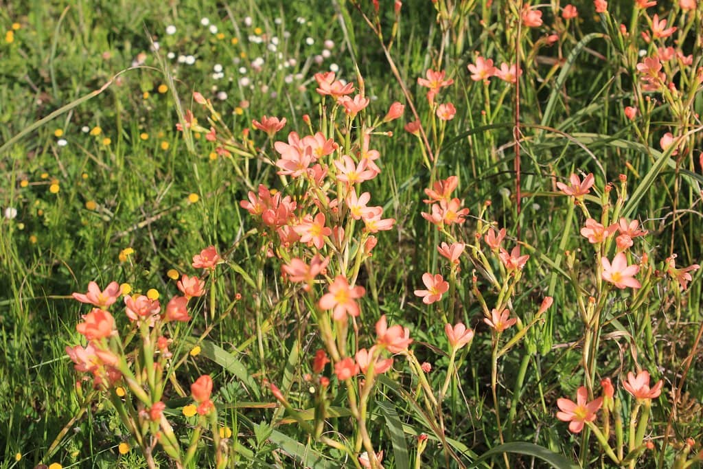 Diverse Walking Trails