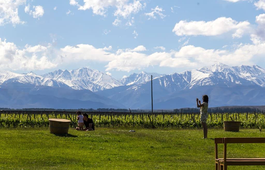 Organic Wine Tasting