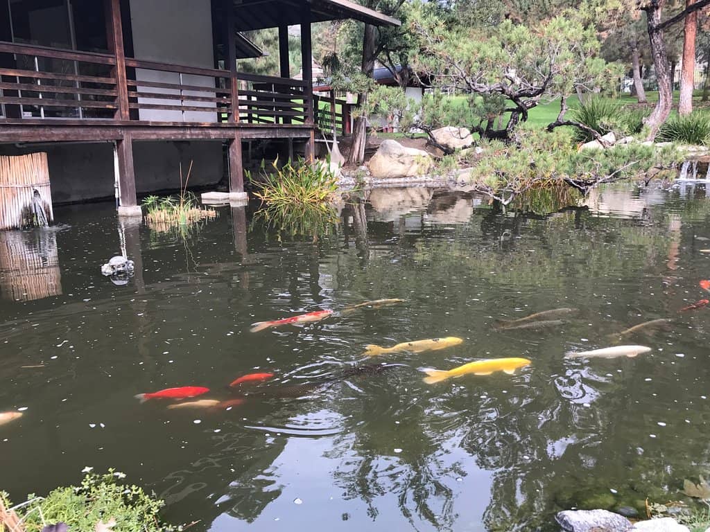Verdugo Mountains Trails