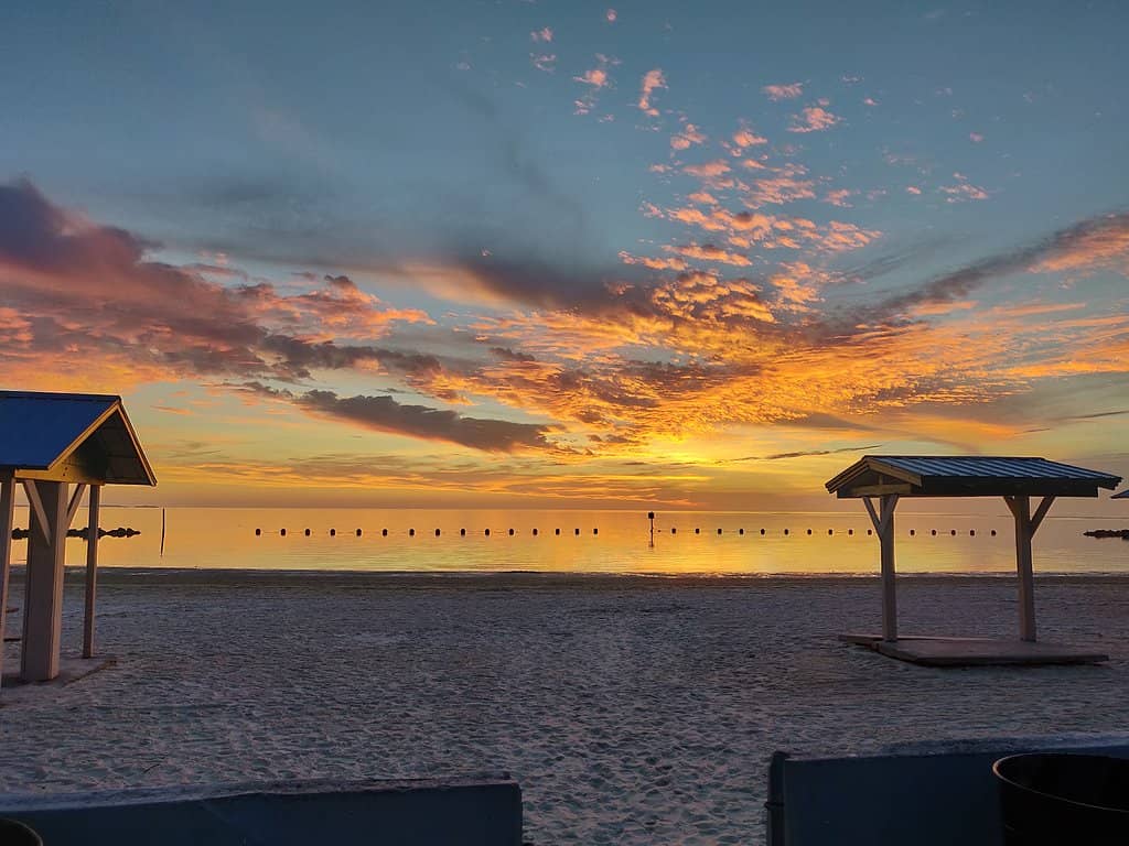 Picnic Pavilions with Grills
