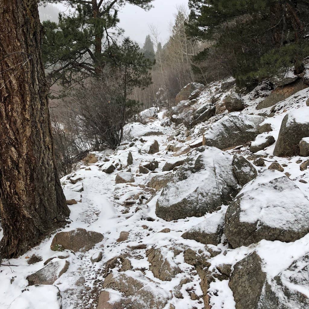 Fern Falls