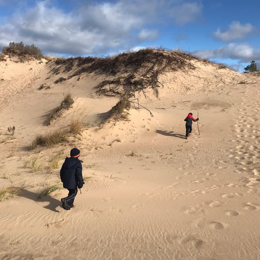 Whispering Pine Woods