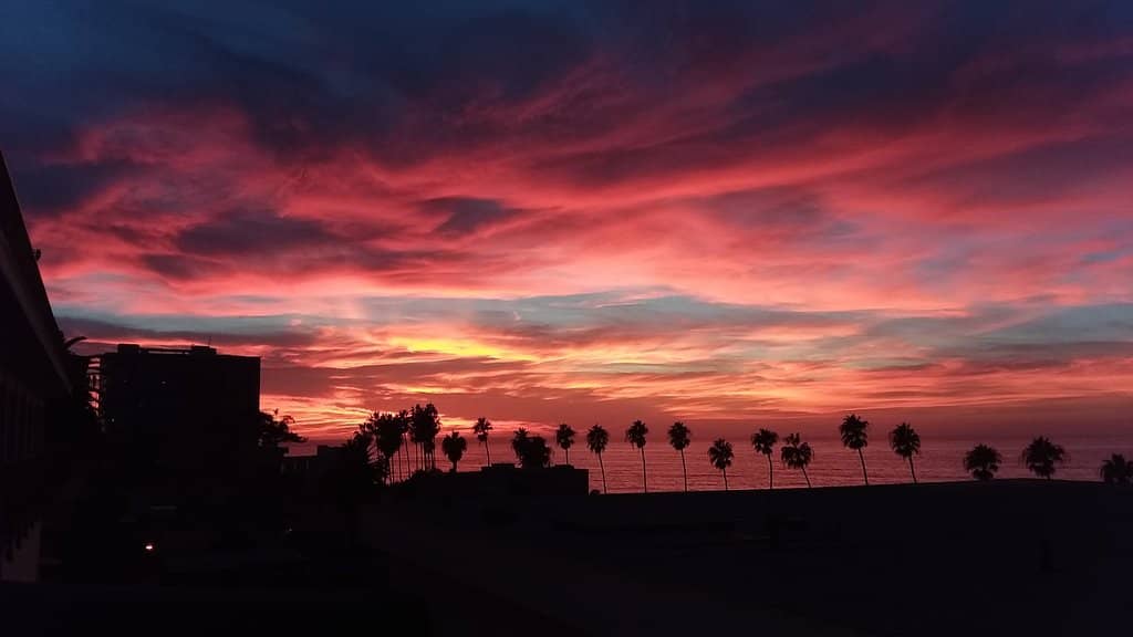 Hawaiian-Inspired Delicacies