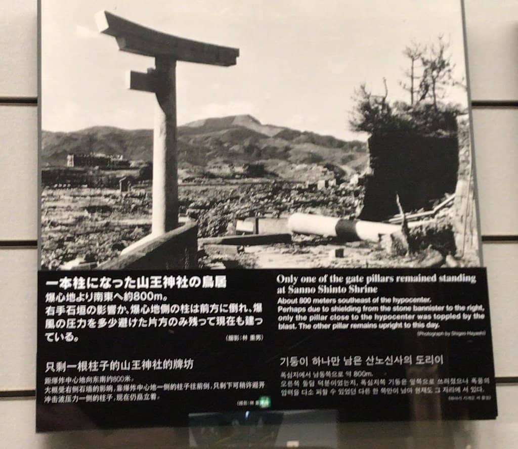 Survivor Testimonies