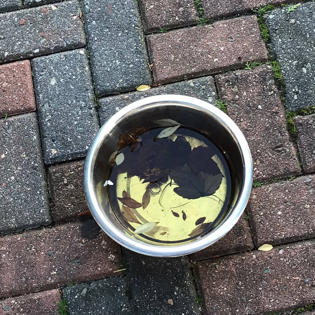 Delectable Bakery Treats