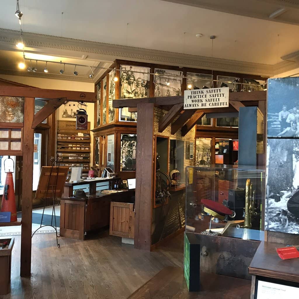 Souvenir & Information Counter