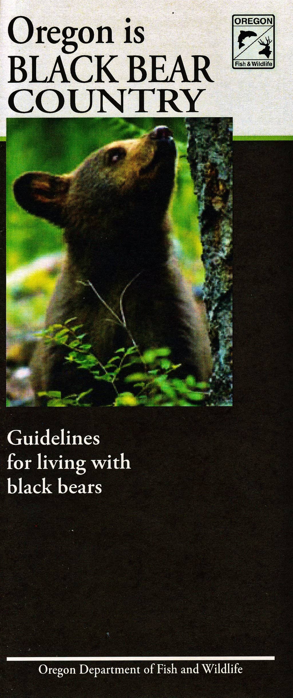 Photography Showcases